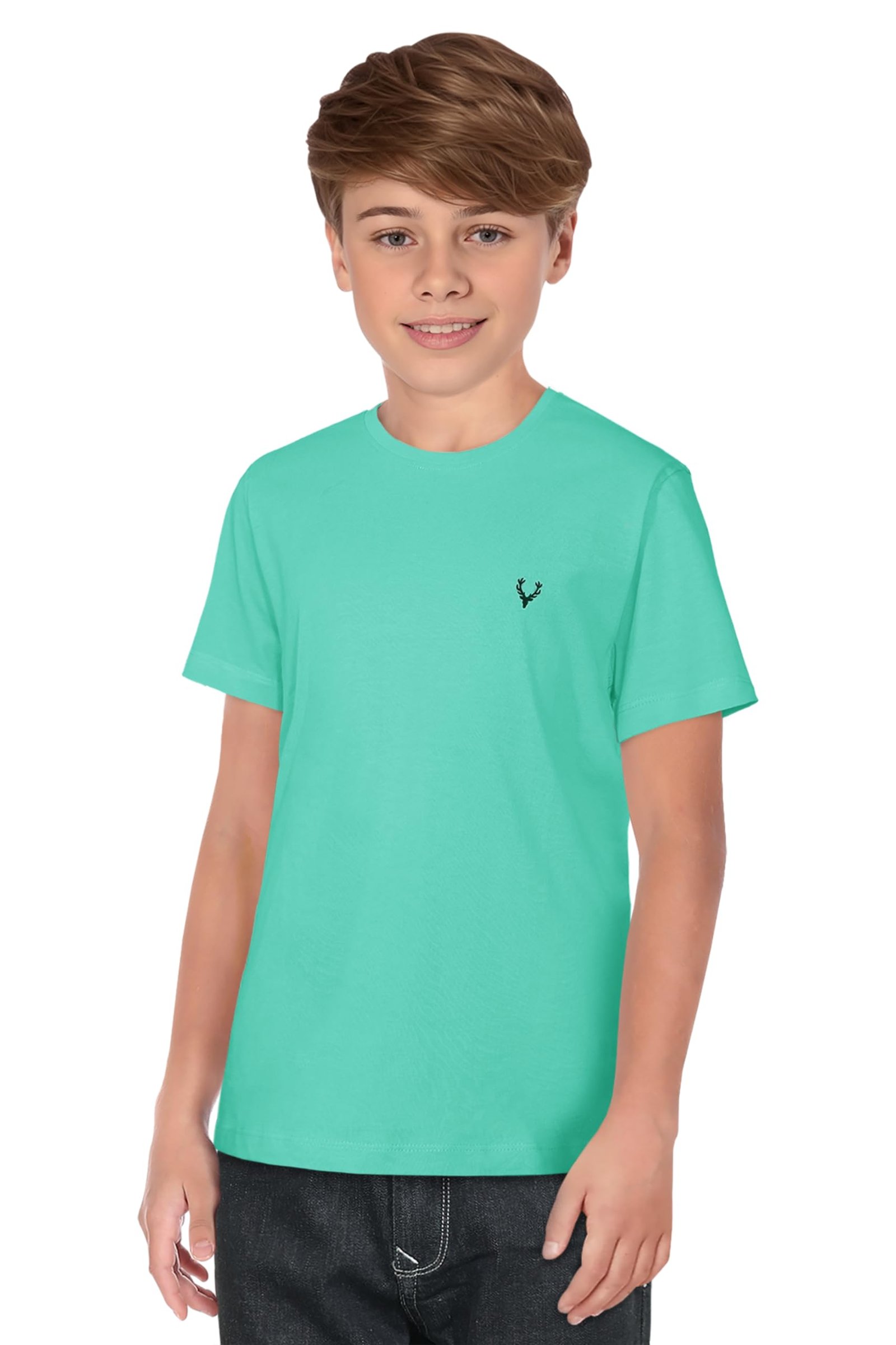 Allen Solly Boy's T-Shirt(ABKCCRGB543385_Sky Blue13-14 Years)